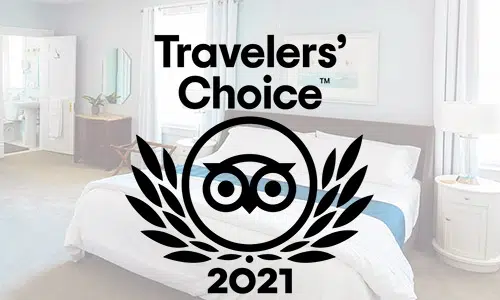 Travelers' Choice Award
