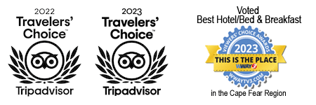 travelers' choice and viewers' choice award winners